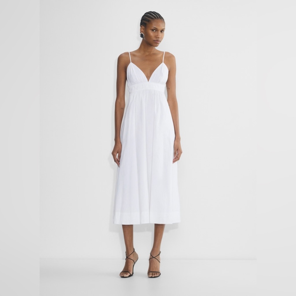 Aritzia Babaton Encourage Poplin Dress